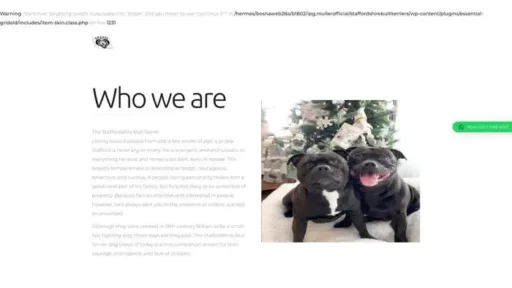 Screenshot of