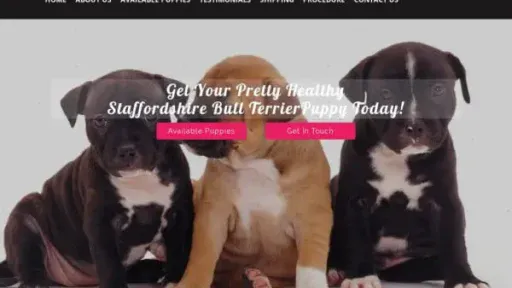 Screenshot of