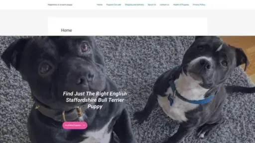 Screenshot of