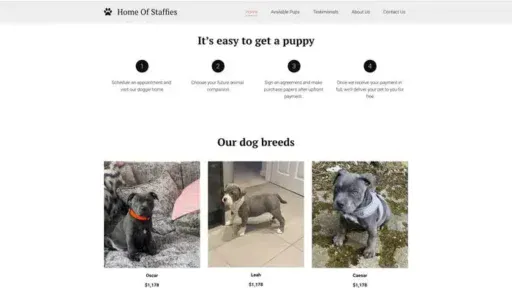 Screenshot of
