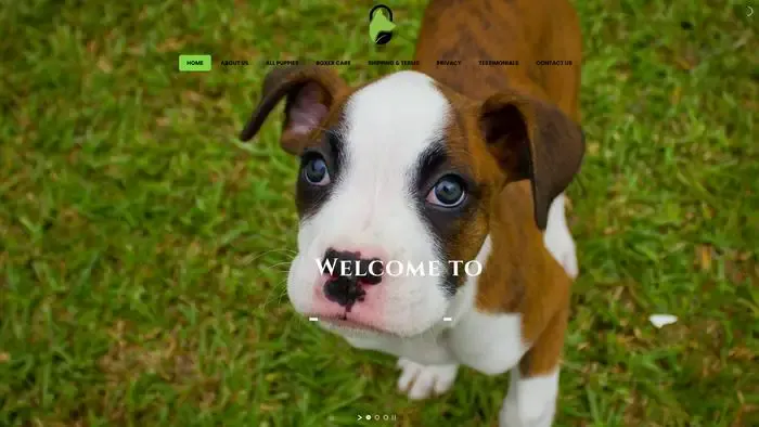 Screenshot of