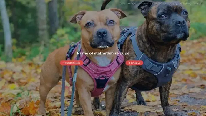 Screenshot of