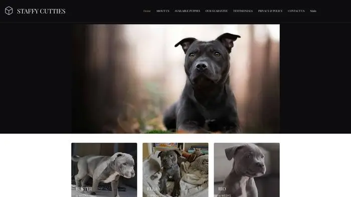 Screenshot of