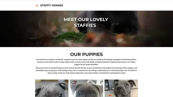 Screenshot of