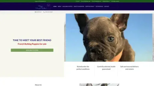 Screenshot of