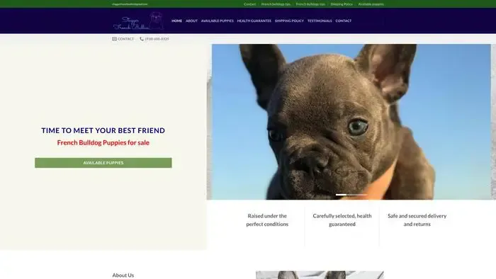 Screenshot of