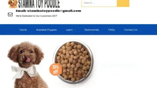 Screenshot of