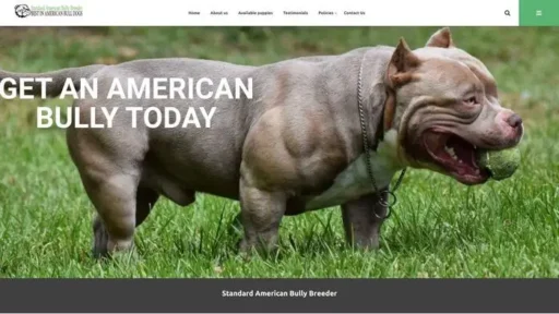 Screenshot of