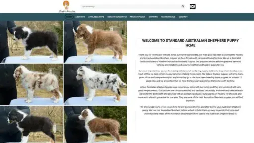 Screenshot of