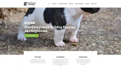 Screenshot of