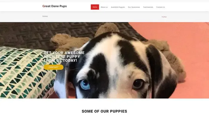 Screenshot of