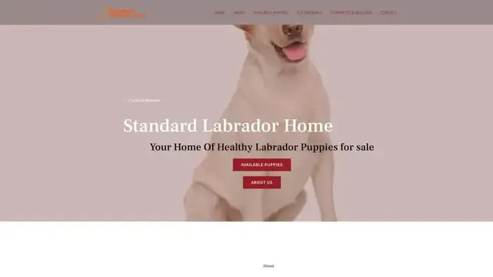 Screenshot of