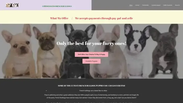Screenshot of