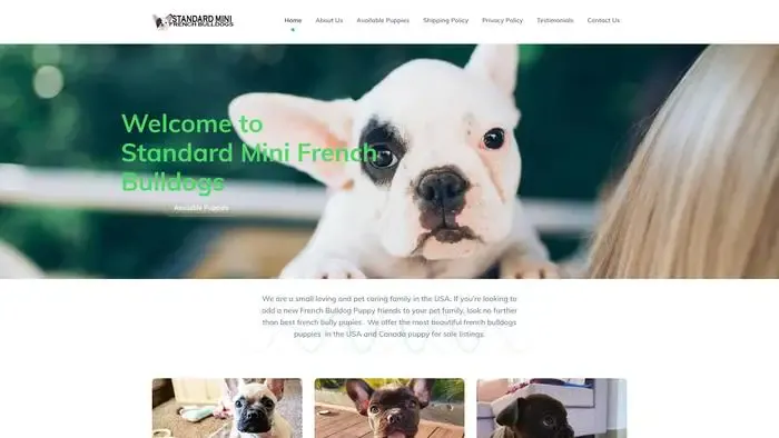 Screenshot of