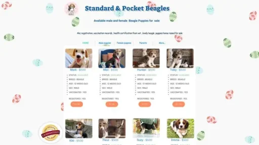 Screenshot of