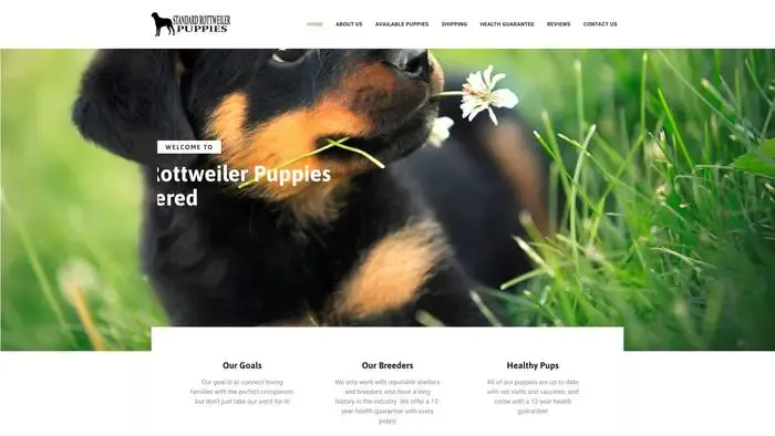 Screenshot of