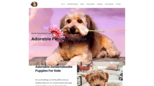 Screenshot of