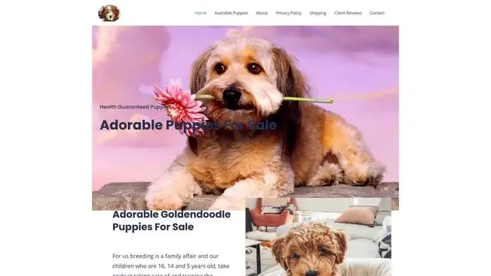 Screenshot of