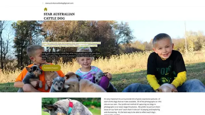 Screenshot of