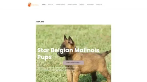Screenshot of