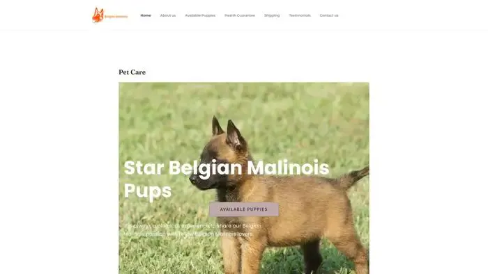 Screenshot of
