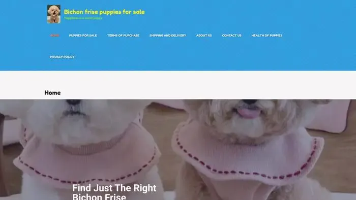 Screenshot of