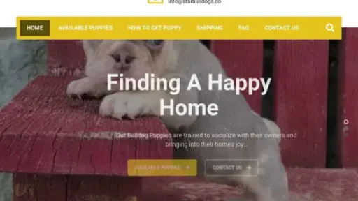 Screenshot of