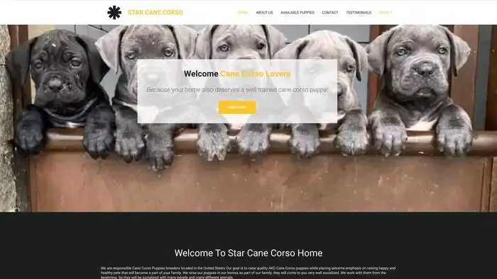 Screenshot of