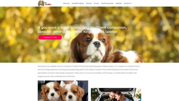 Screenshot of