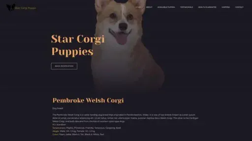 Screenshot of