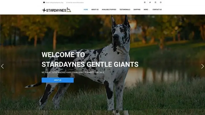 Screenshot of