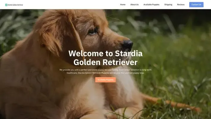 Screenshot of