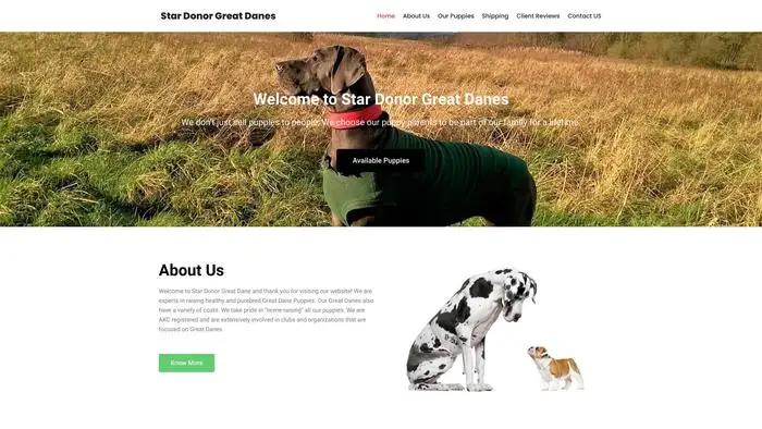 Screenshot of