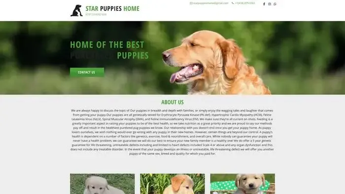 Screenshot of