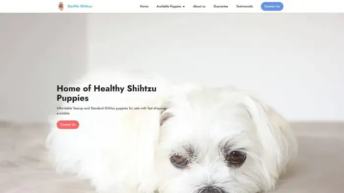 Screenshot of
