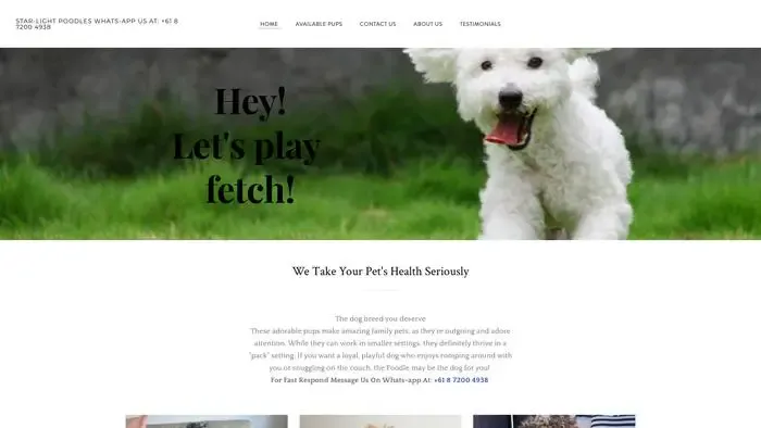 Screenshot of