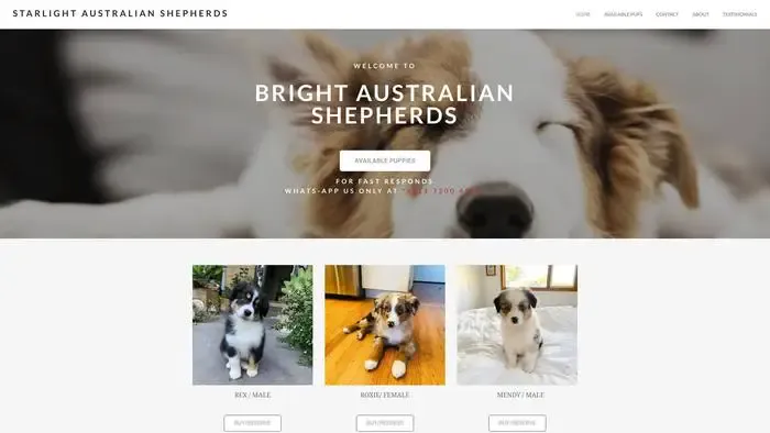 Screenshot of