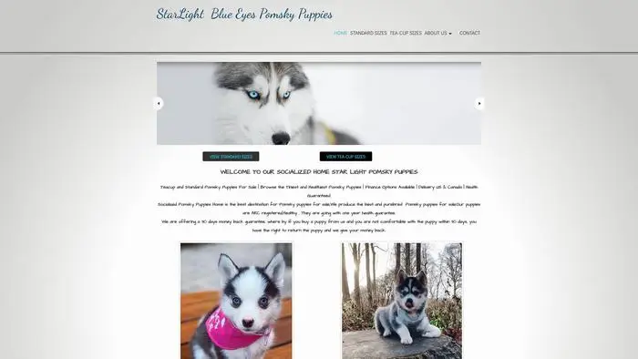 Screenshot of