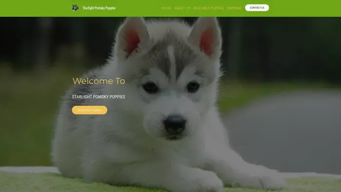 Screenshot of