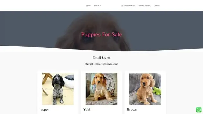 Screenshot of