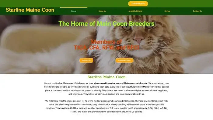 Screenshot of