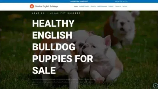 Screenshot of