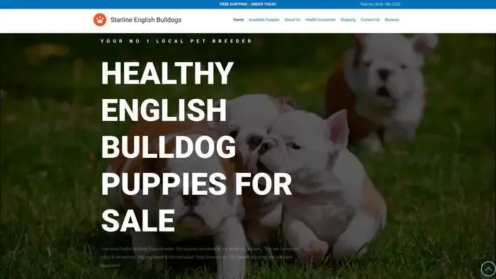 Screenshot of