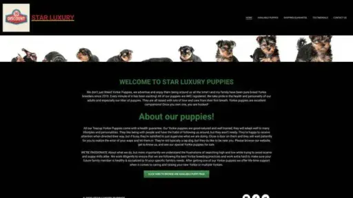 Screenshot of