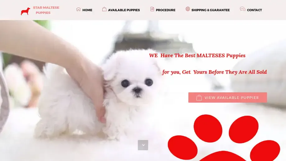 Screenshot of