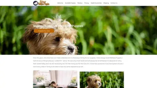 Screenshot of