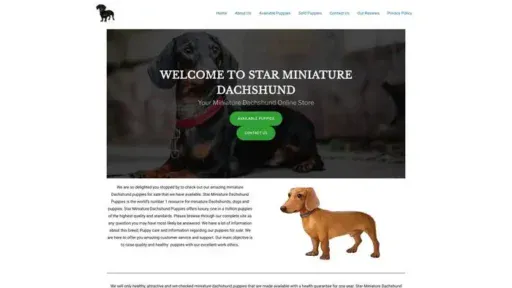 Screenshot of