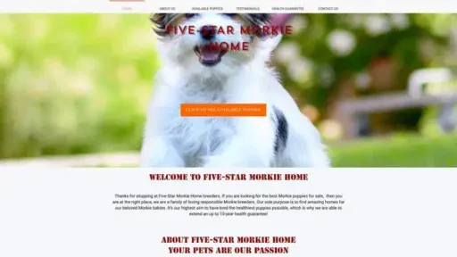 Screenshot of