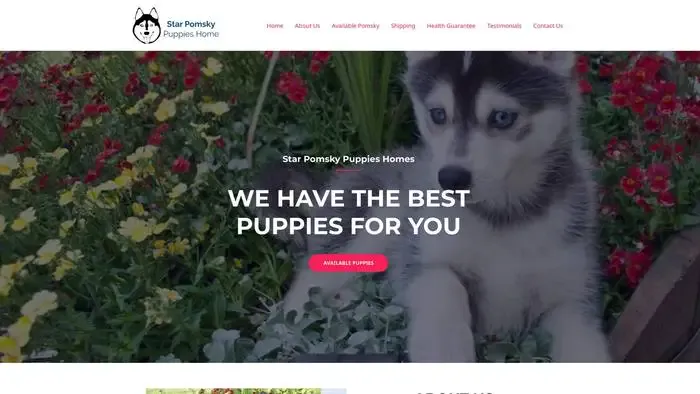Screenshot of