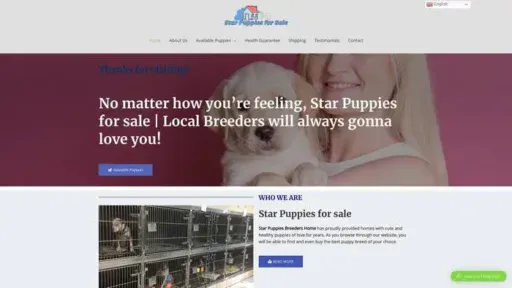 Screenshot of